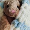 Blanket 14